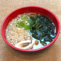udon
